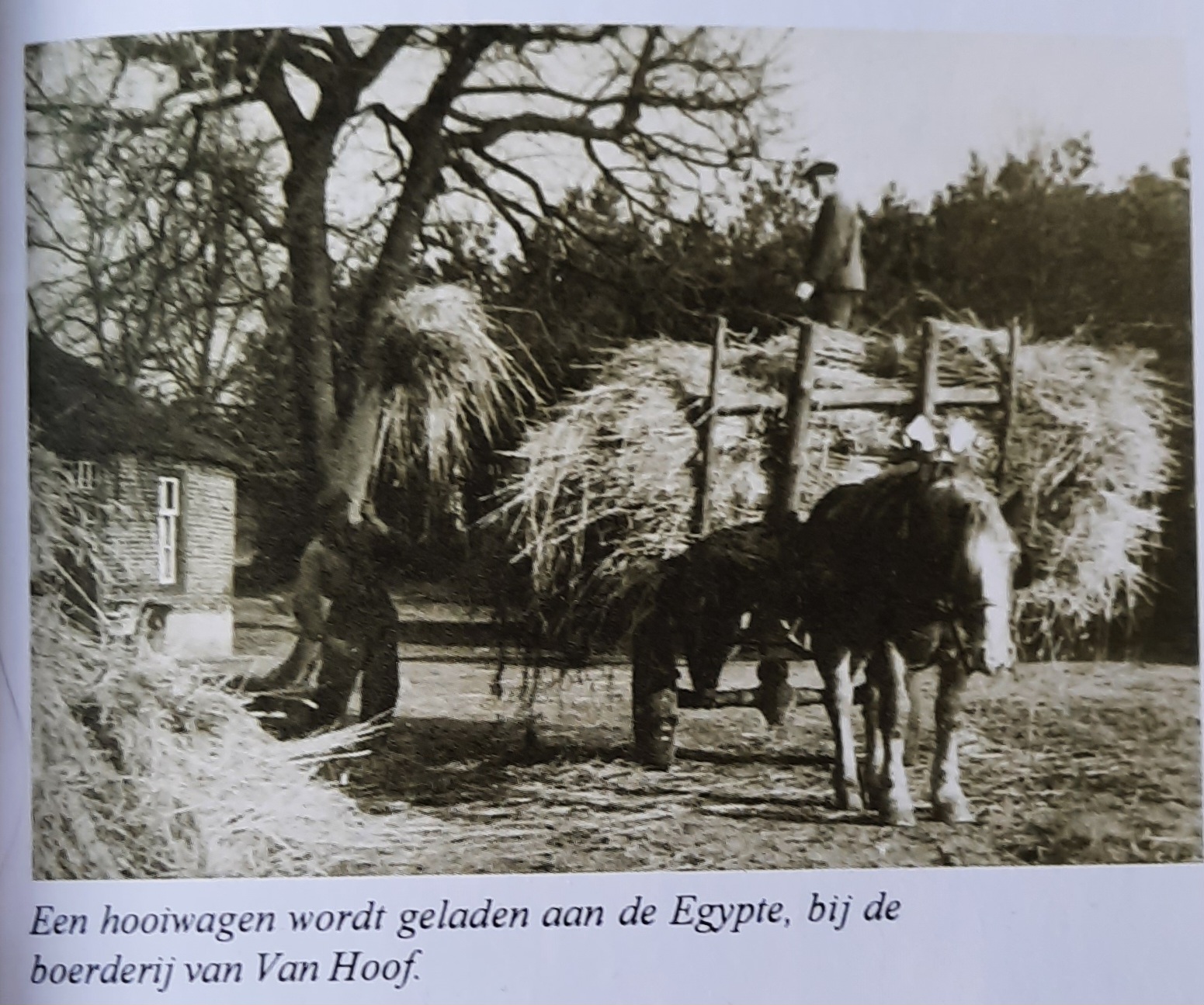 ontmoeten