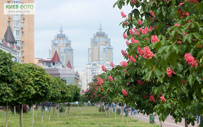 kyiv